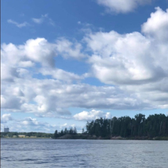 Meet your Posher, Olivia - Picture 1 of 1